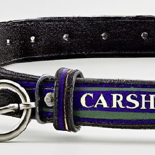 Leather dog collars with name plates 