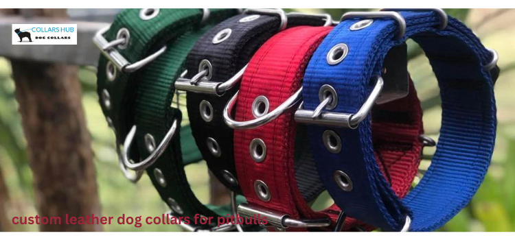 custom leather dog collars for pitbulls

