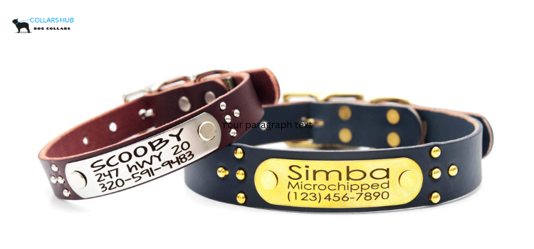 best leather dog collars with nameplate