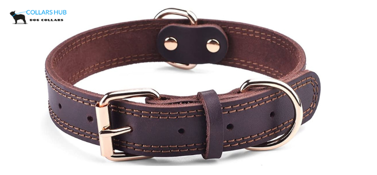 Best Leather Dog Collars For Large Logs