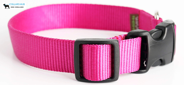 Pink nylon dog collar