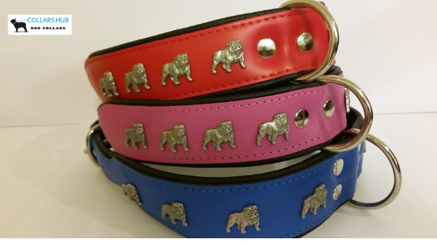 are leather dog collars good
