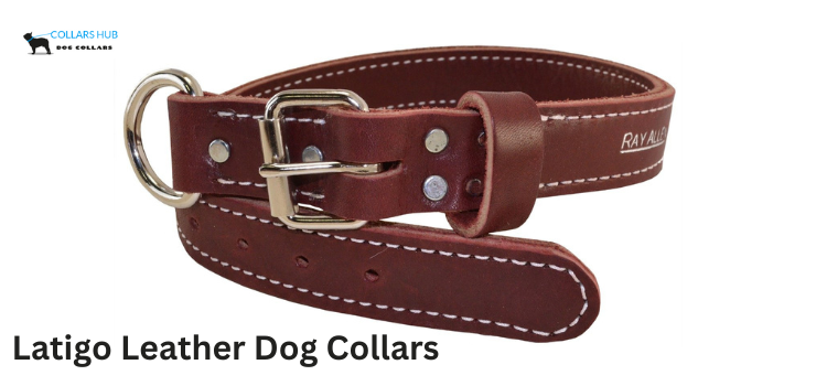 latigo leather dog collars