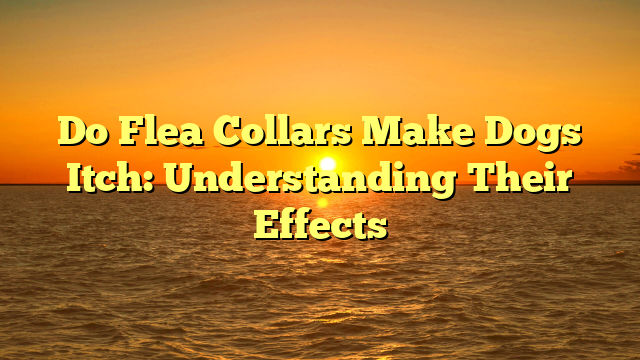 Do Flea Collars Make Dogs Itch: Understanding Their Effects